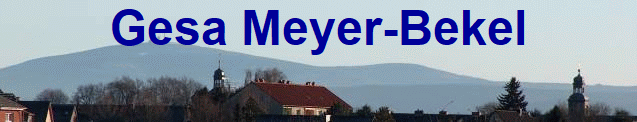 Gesa Meyer-Bekel