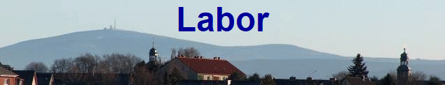 Labor